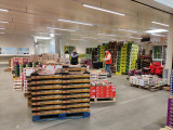 IMG-20250409-094903