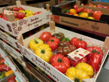 IMG-20250409-095902