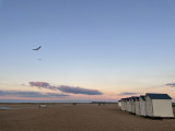IMG-2521-2