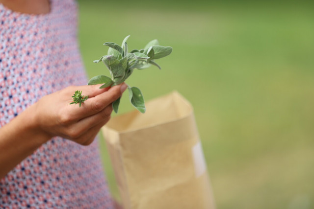 596610-Visite-guidee--le-bourg-de-Ouistreham-en-5-experiences-Caen-la-mer-Tourisme---Olivier-BARJON-1200px