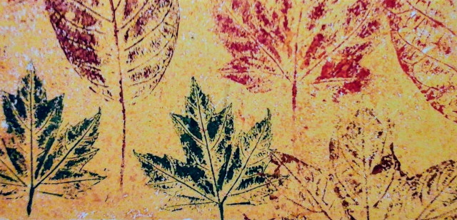 automne-V.Foucher - © Veronique Foucher automne-V.Foucher