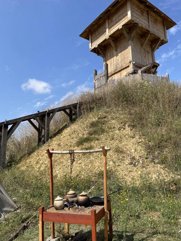 20250808ornavikfetesducales02