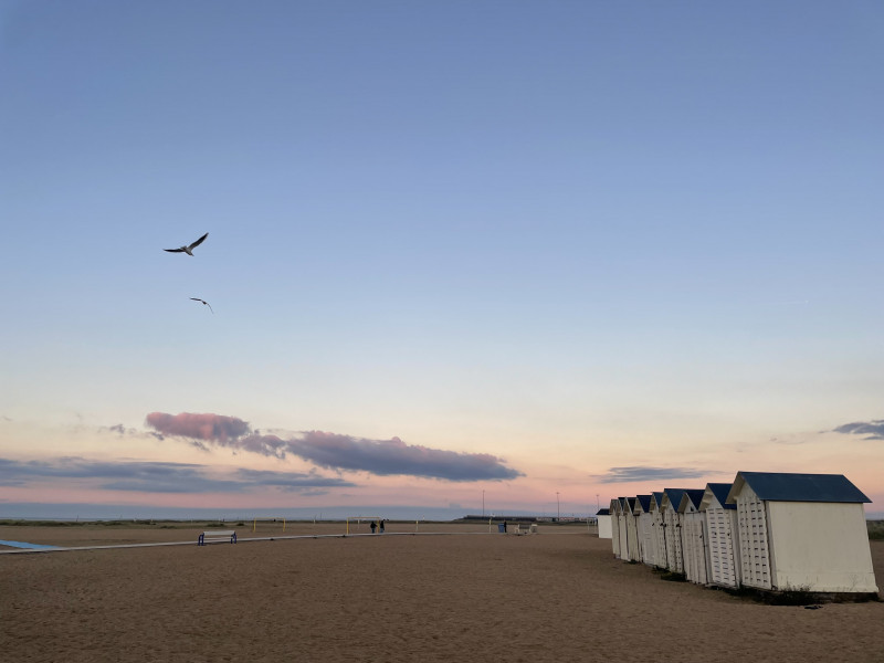 IMG-2521-2